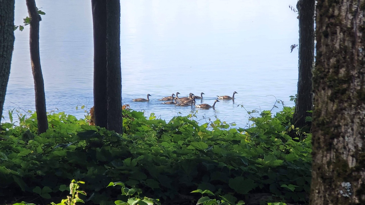 Photo of Others in Grand Isle