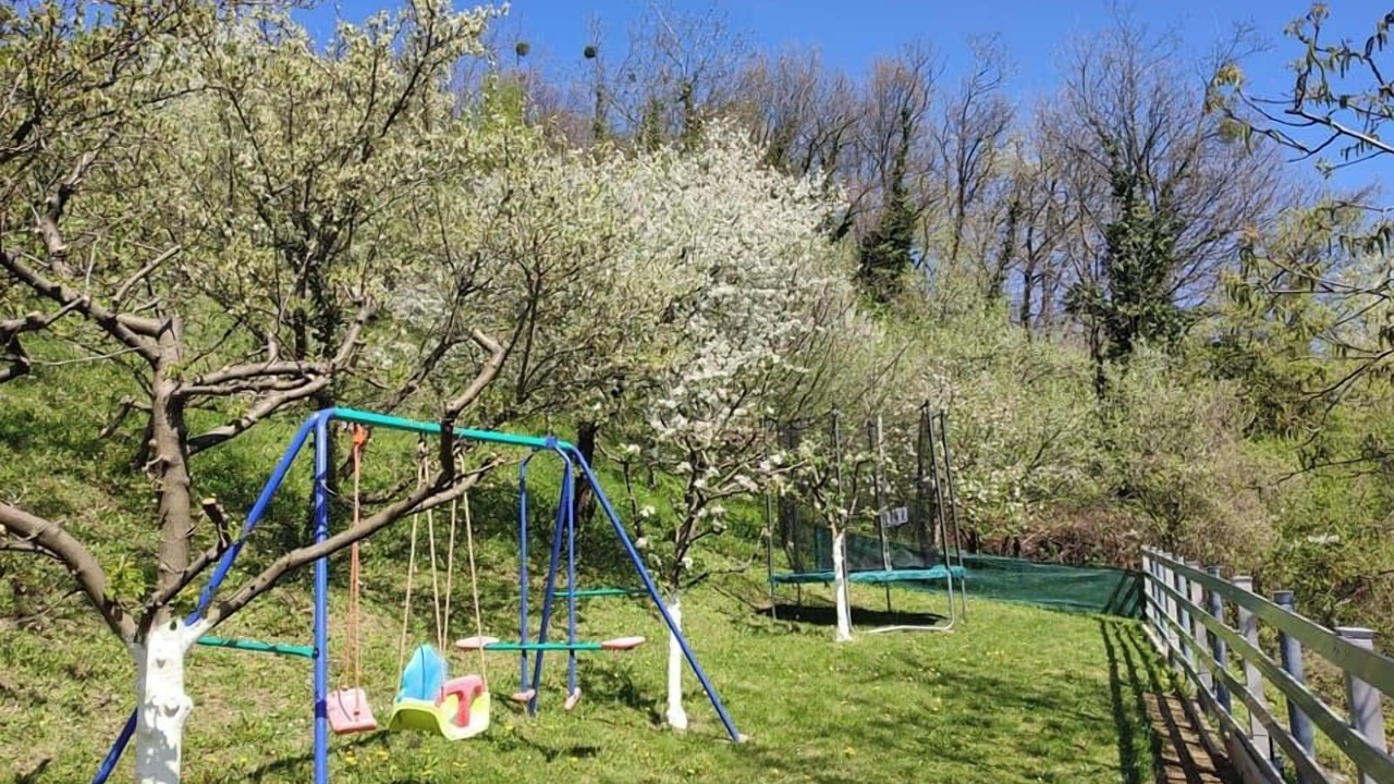 Photo of Others in Radoboj