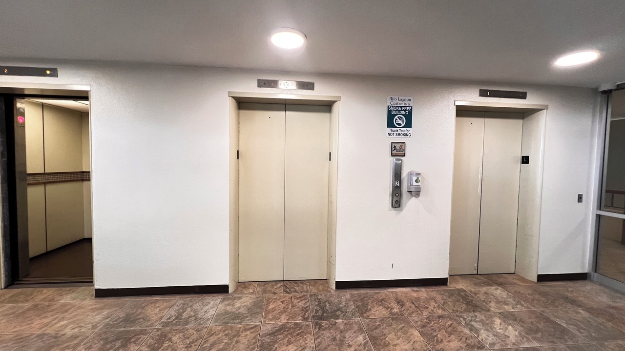 Photo of Others in Hilo