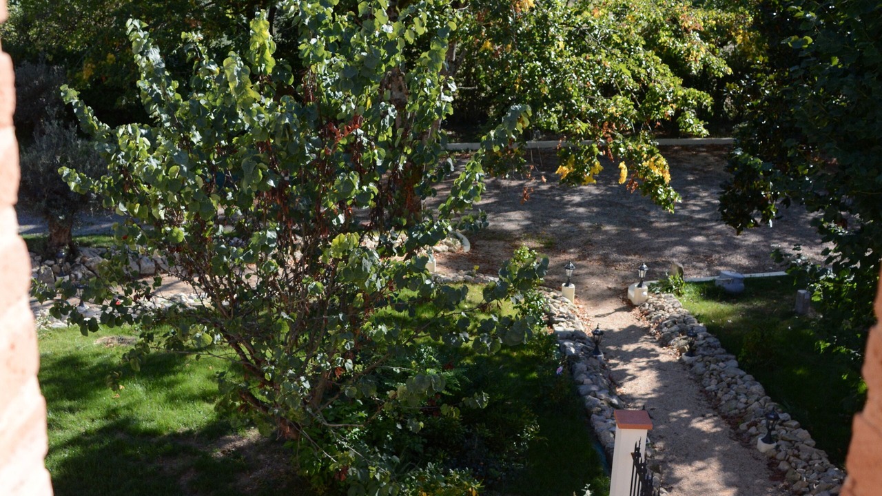 Photo of Outdoor in Teulat