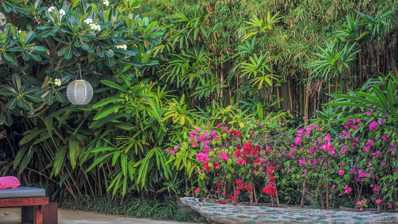 Photo of Patio Balcony in Central Seminyak