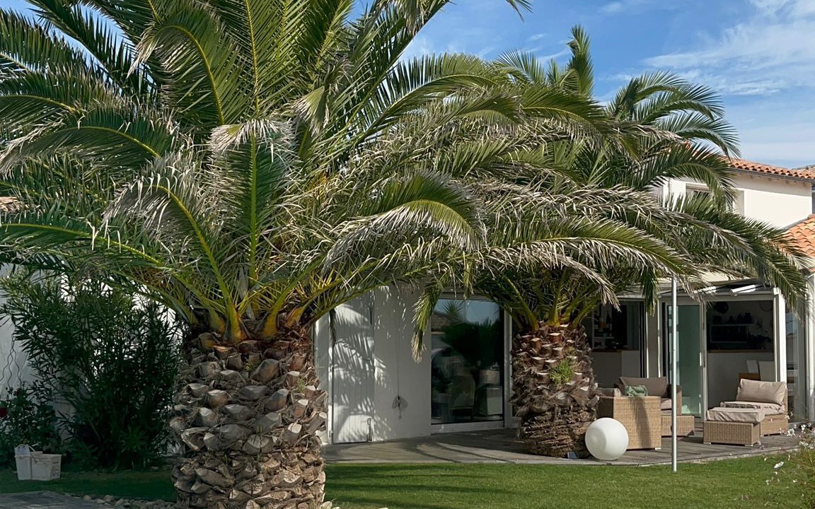 Photo of Outdoor in Angoulins