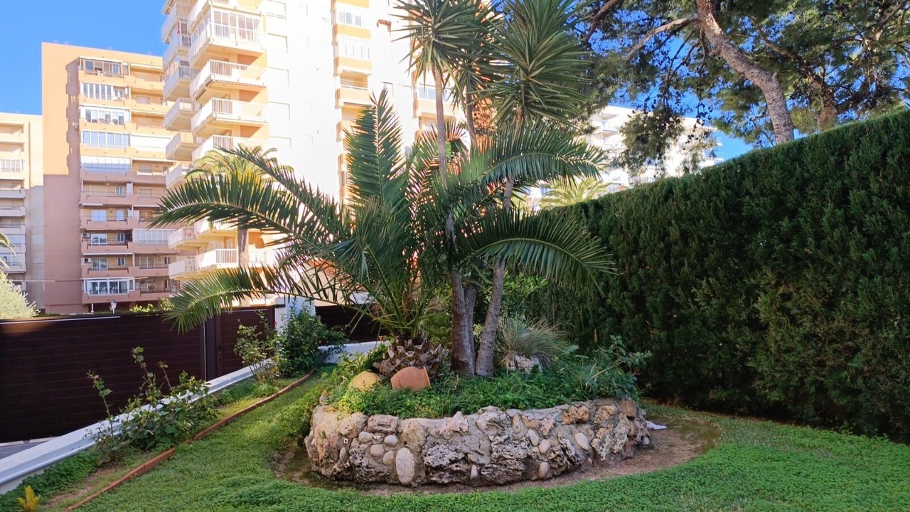 Photo of Outdoor in Benicassim