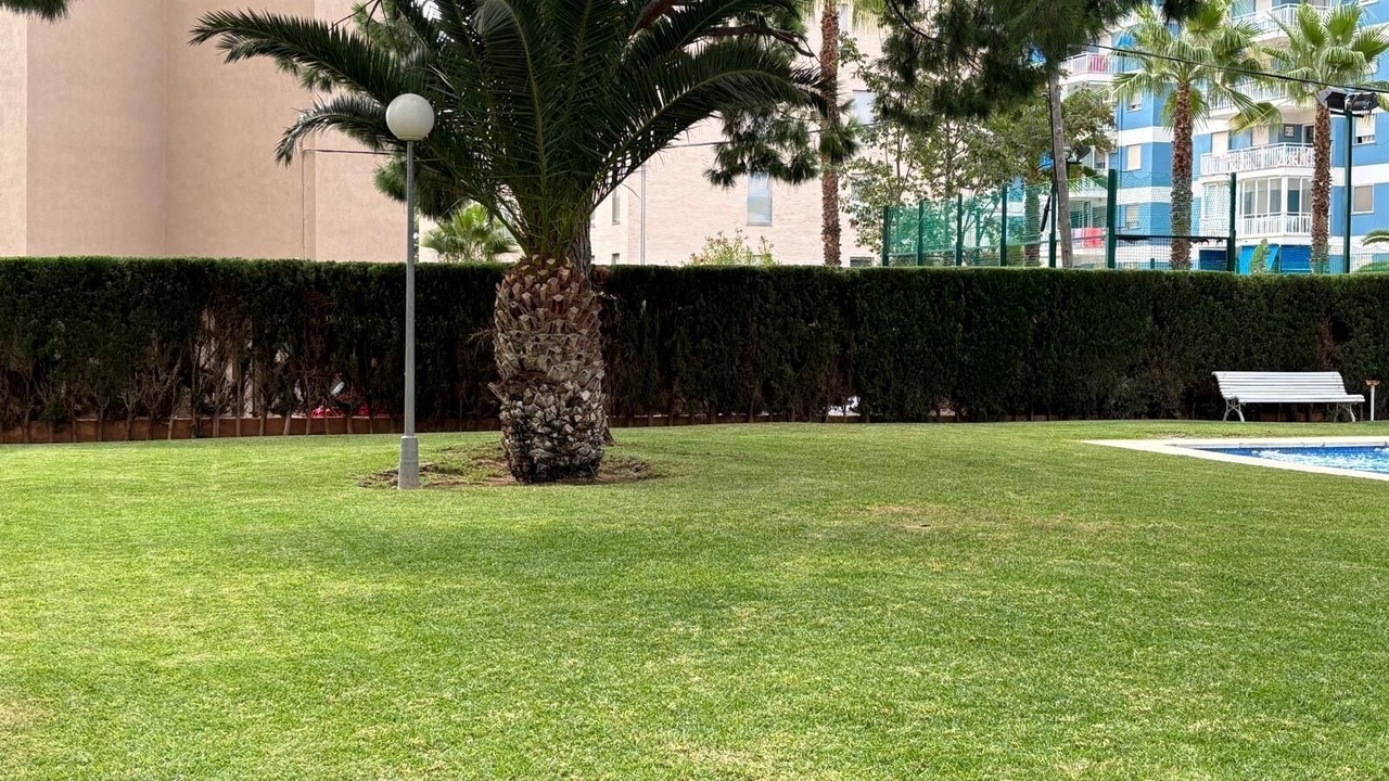 Photo of Outdoor in Benicassim