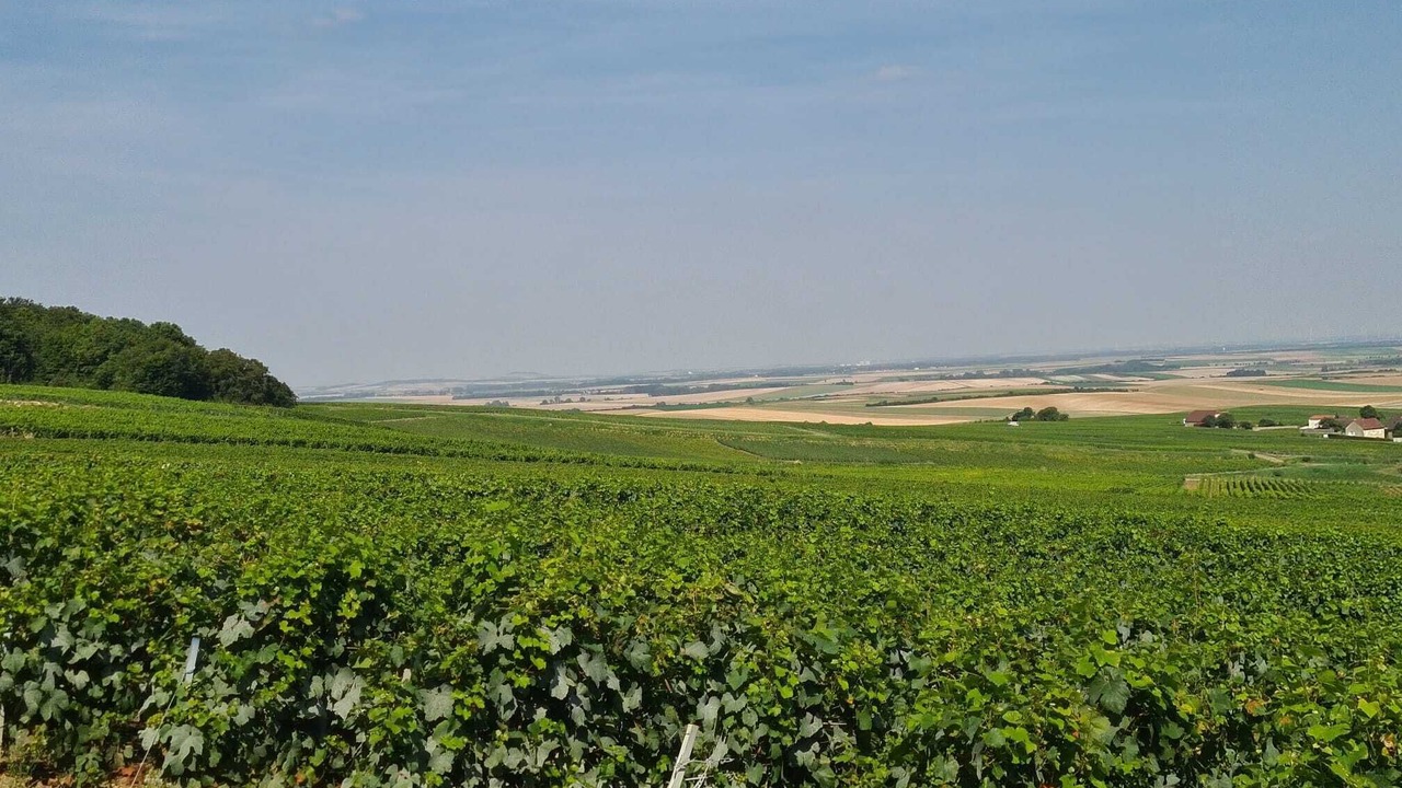 Photo of Others in Fontaine-Denis-Nuisy