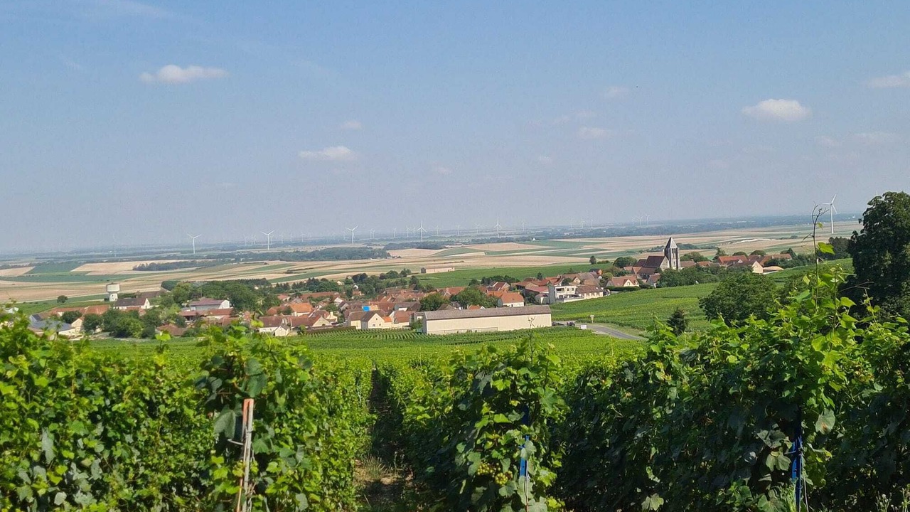 Photo of Others in Fontaine-Denis-Nuisy