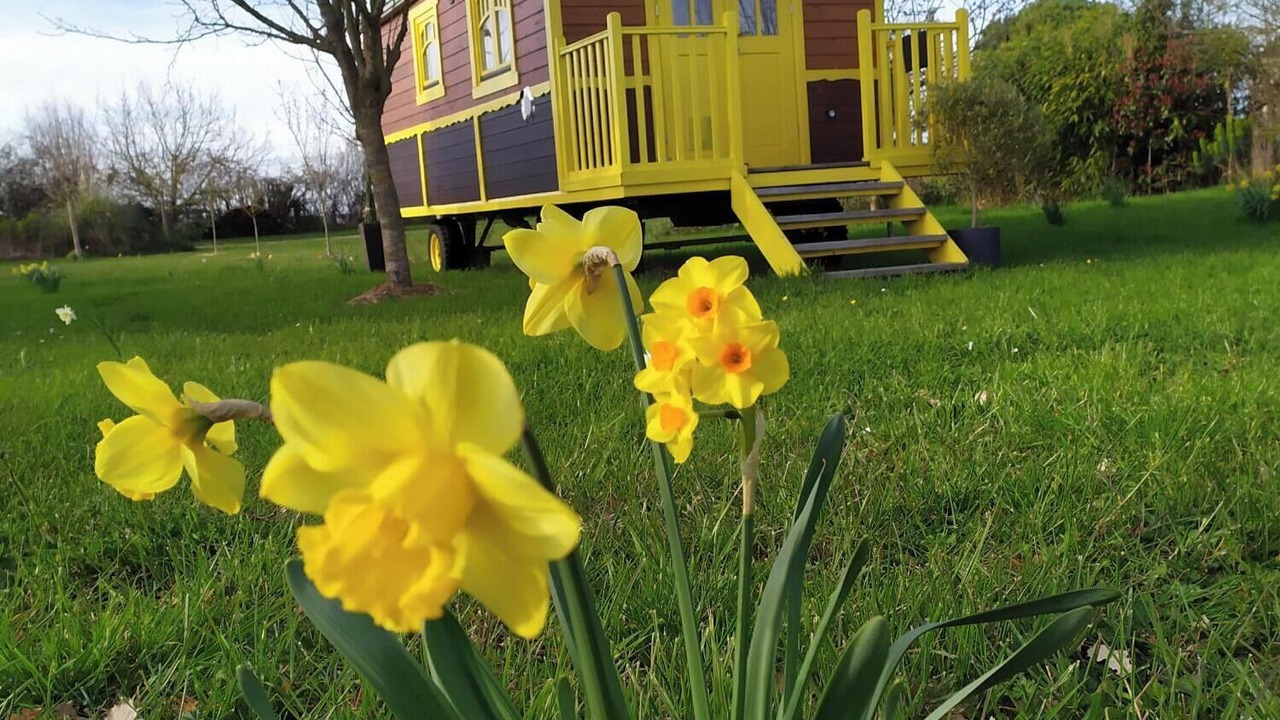 Photo of Outdoor in Noyant-la-Plaine