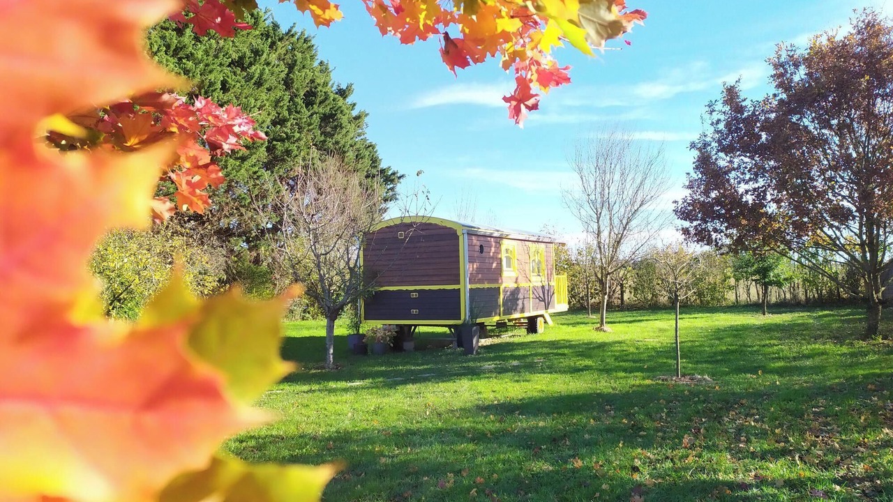 Photo of Others in Noyant-la-Plaine