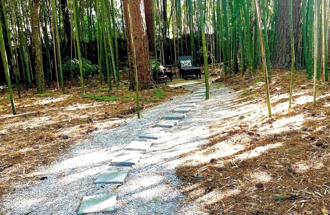 Photo of Outdoor in Southeast Raleigh