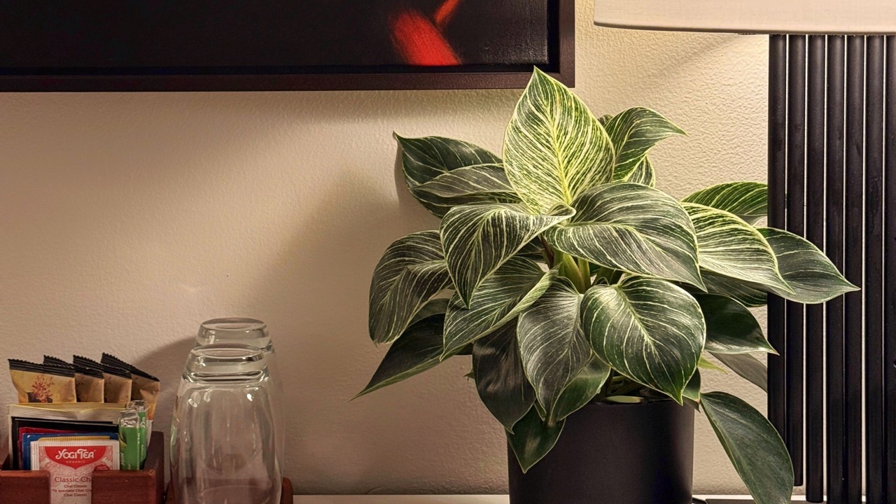 Photo of Others in Macclesfield