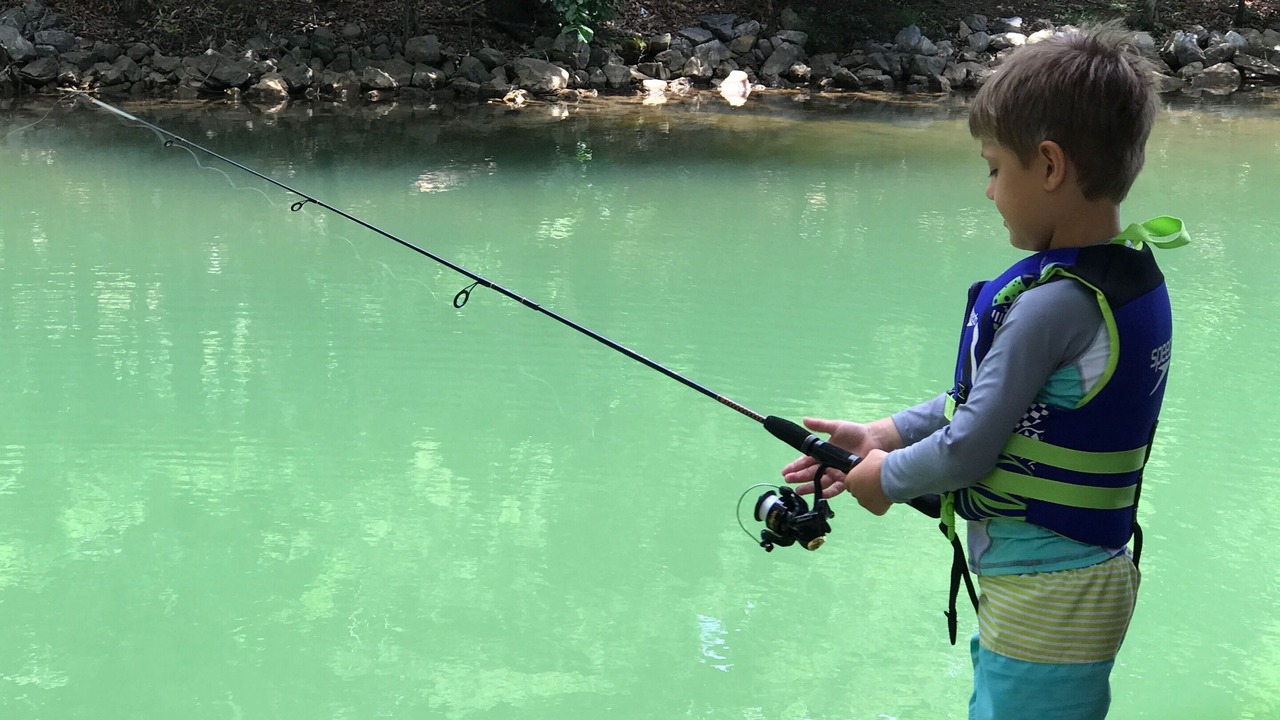 Photo of Others in Smith Mountain Lake