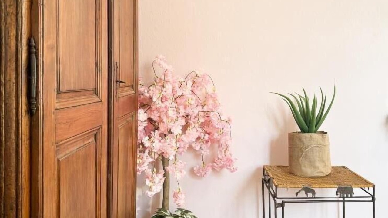 Photo of Others in Martel