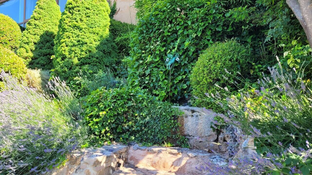 Photo of Outdoor in Ayllon