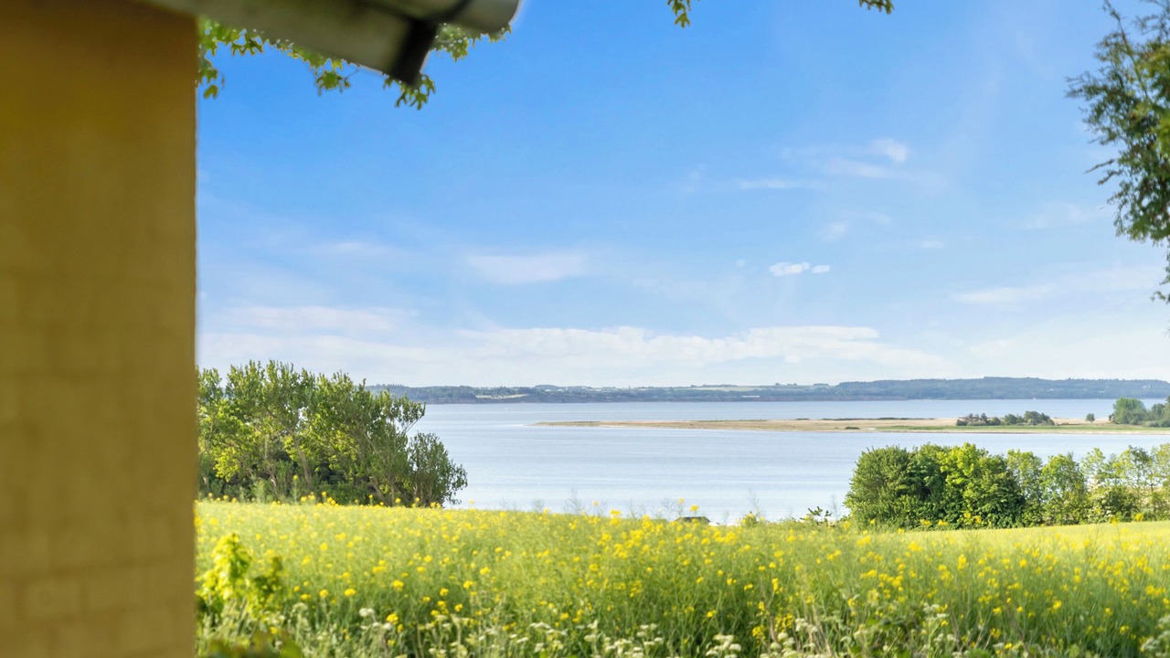 Photo of Others in Ronbjerg