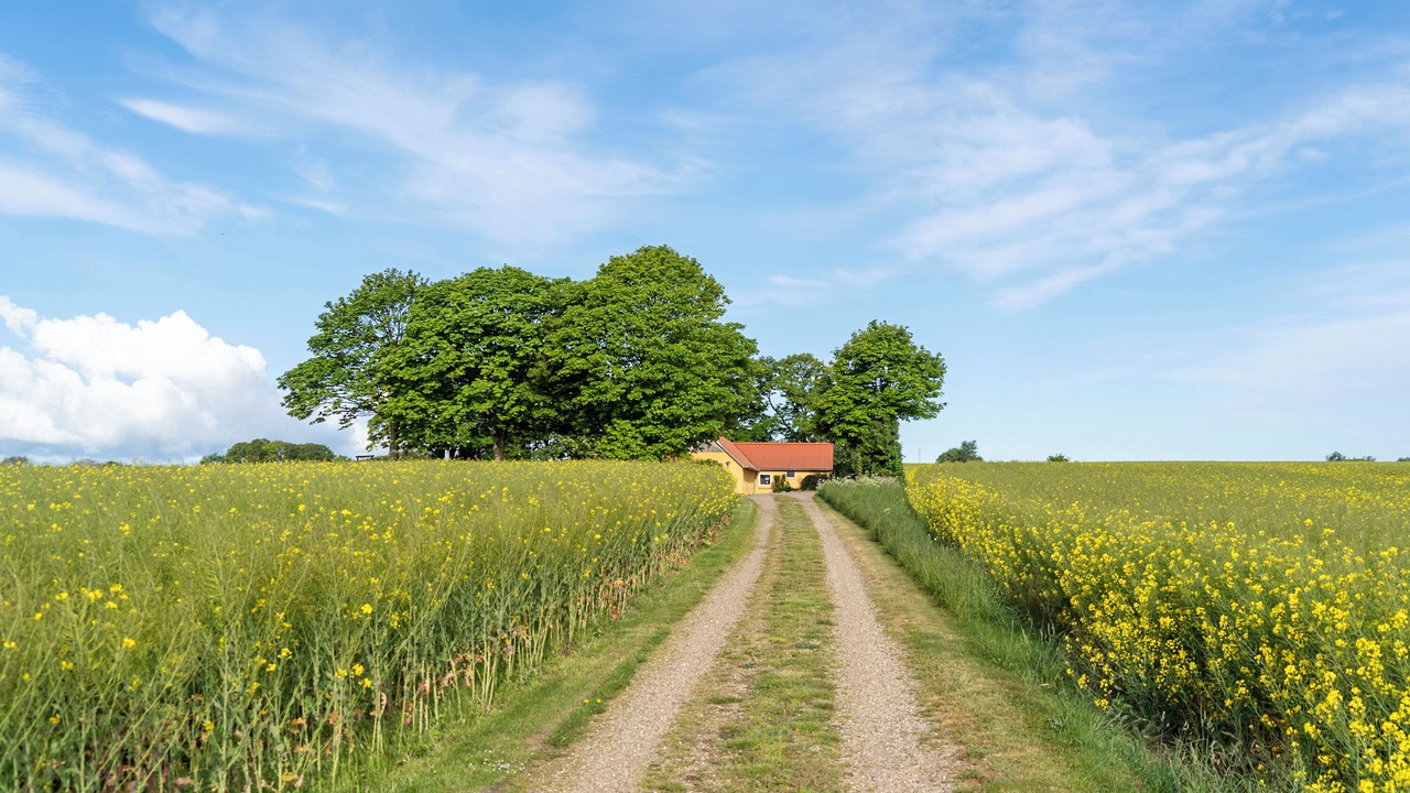 Photo of Others in Ronbjerg