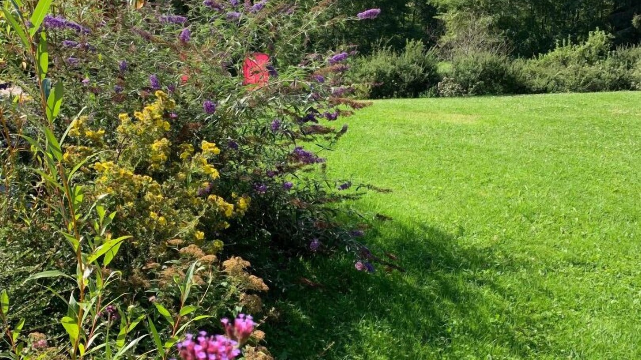 Photo of Outdoor in Fayl-Billot