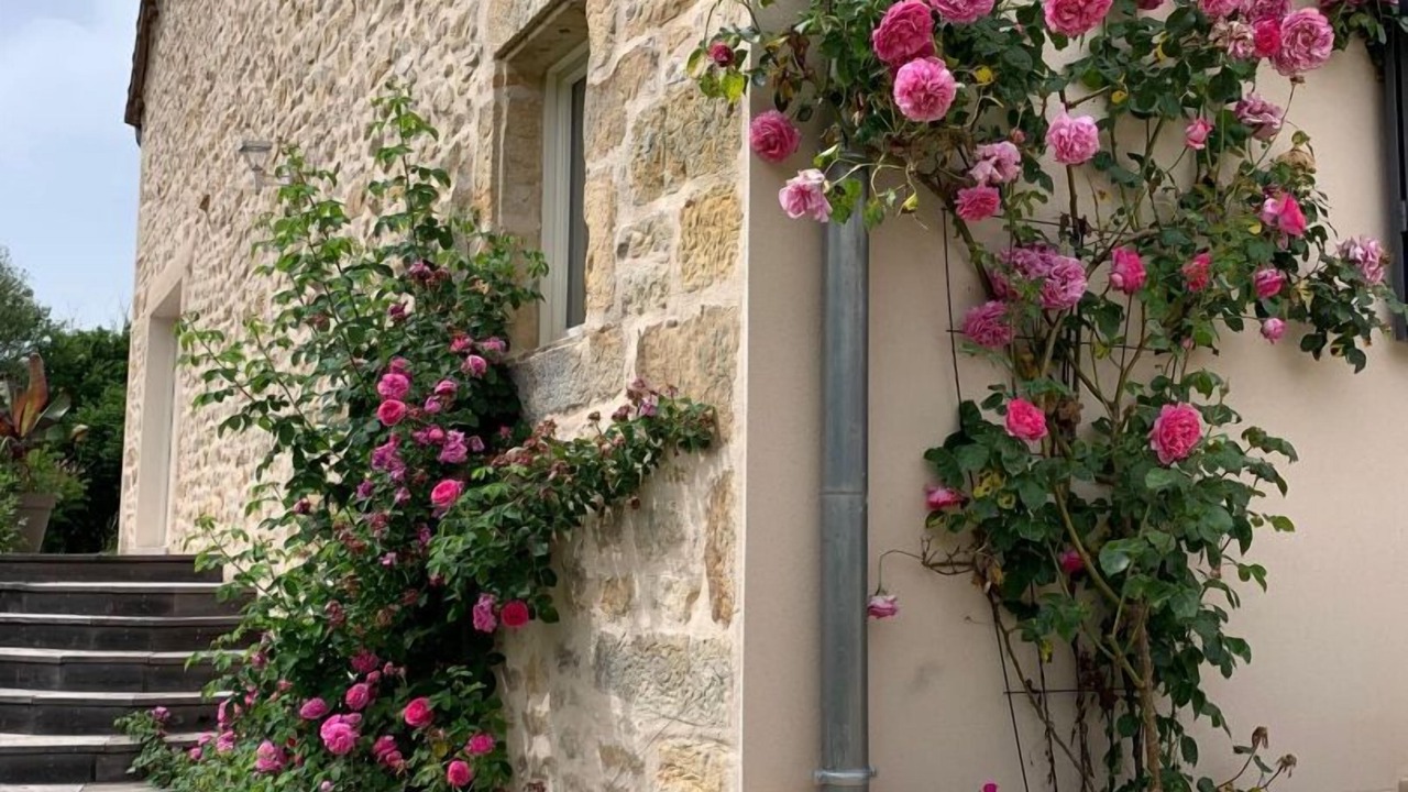 Photo of Outdoor in Fayl-Billot