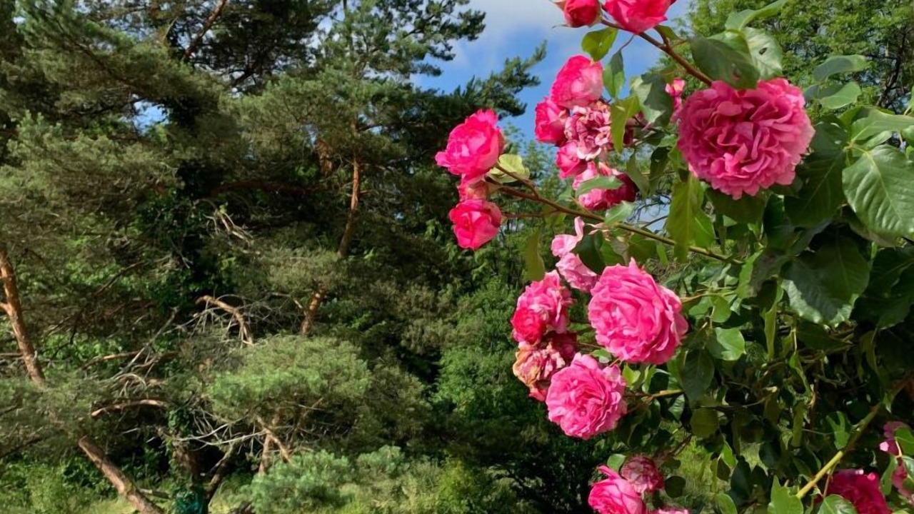 Photo of Outdoor in Fayl-Billot