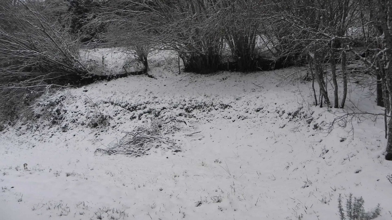 Photo of Others in Murat-le-Quaire