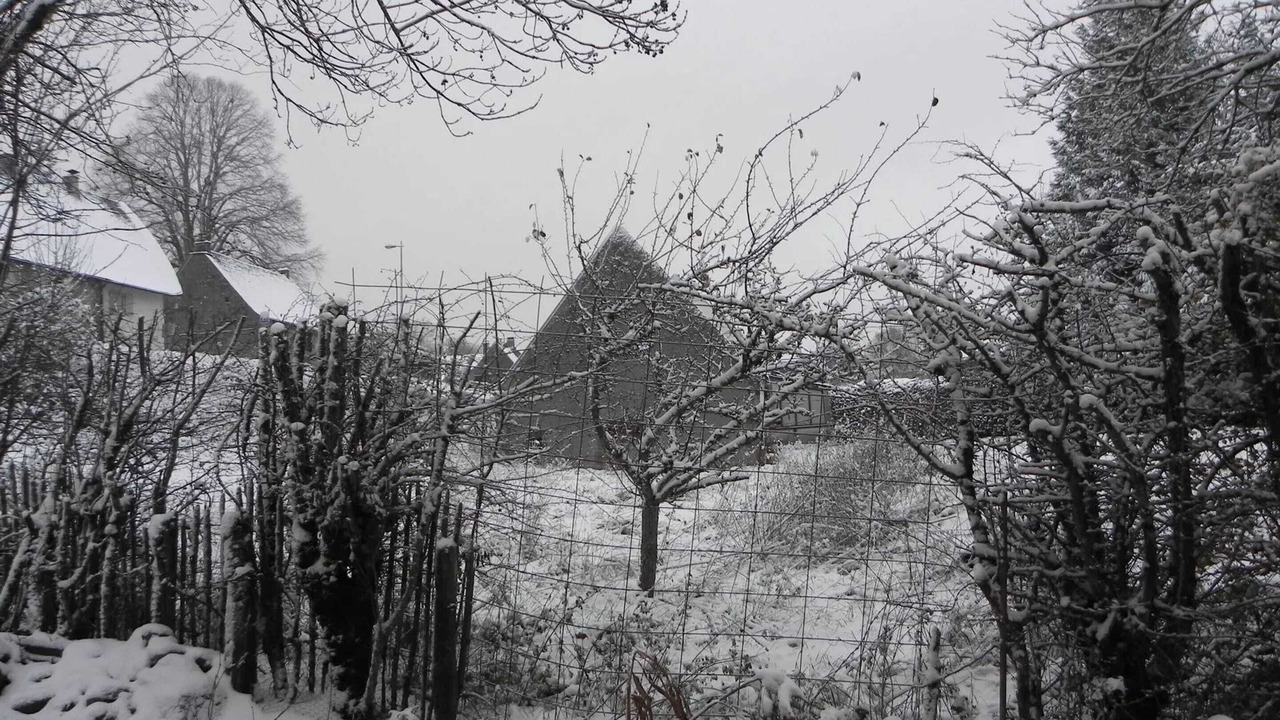 Photo of Outdoor in Murat-le-Quaire