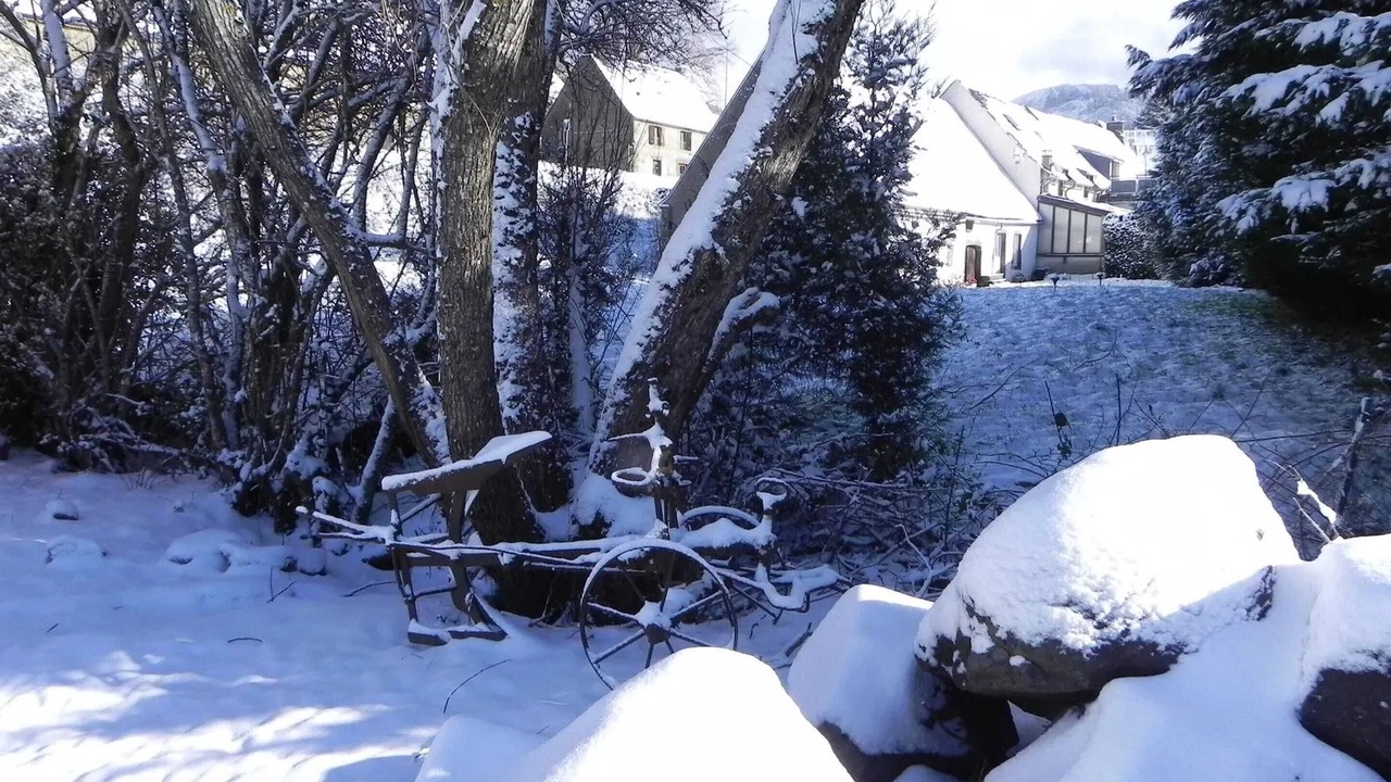 Photo of Outdoor in Murat-le-Quaire