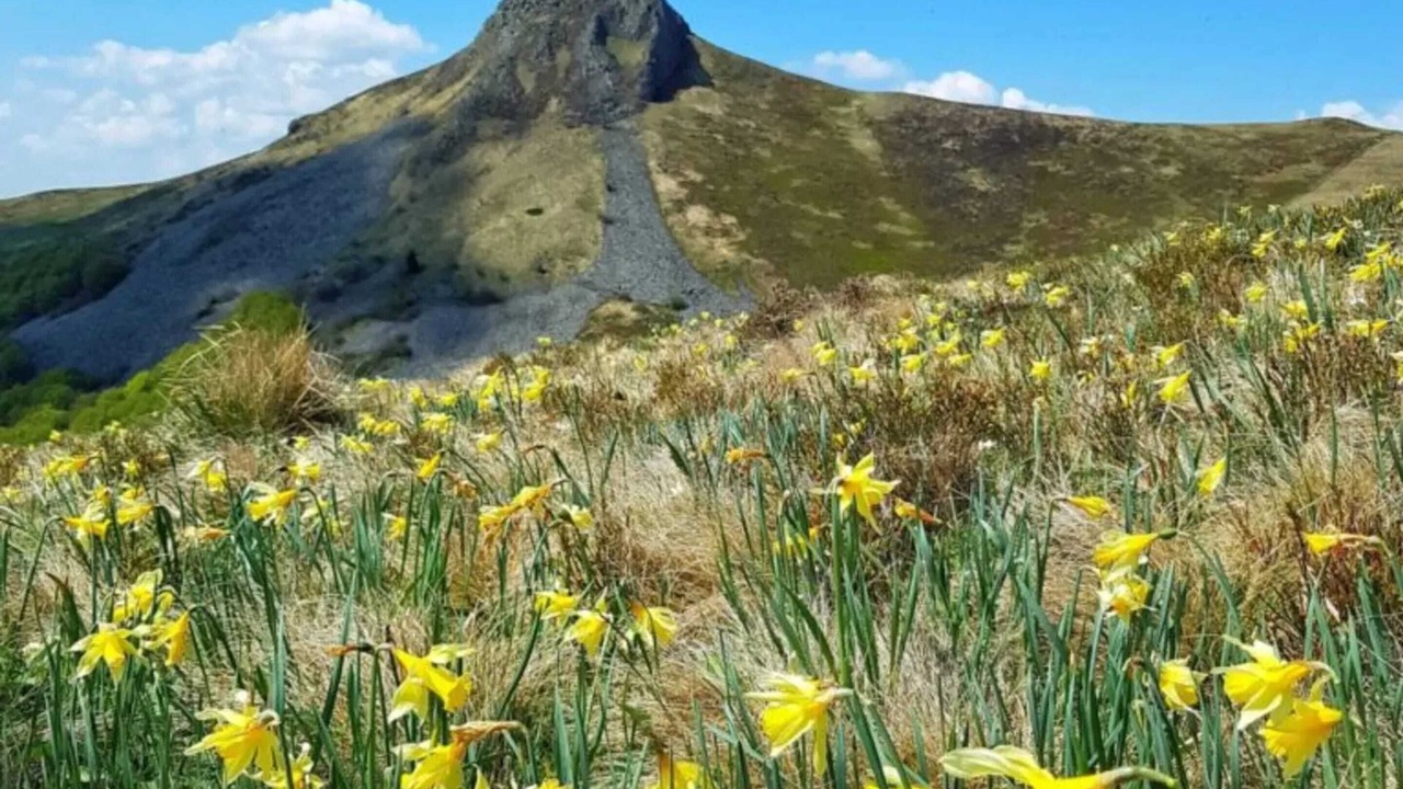 Photo of Others in Murat-le-Quaire
