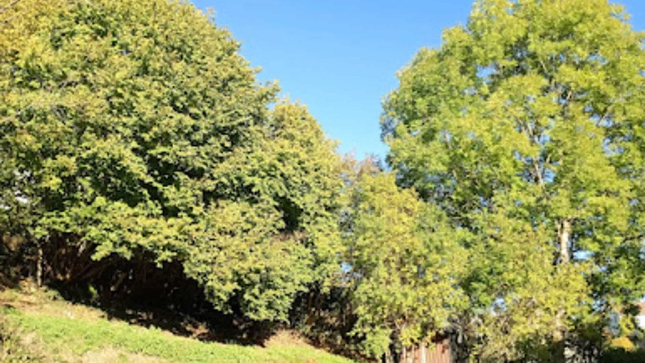 Photo of Others in Murat-le-Quaire