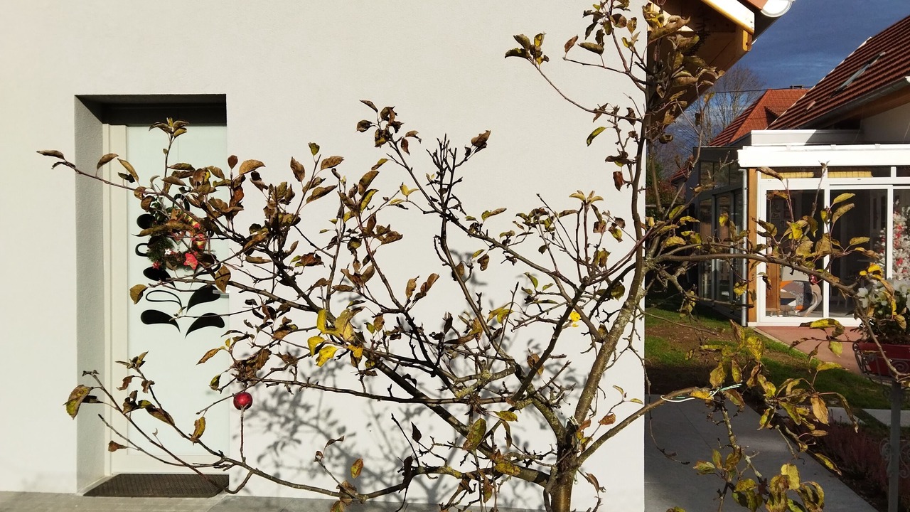 Photo of Outdoor in Issenheim