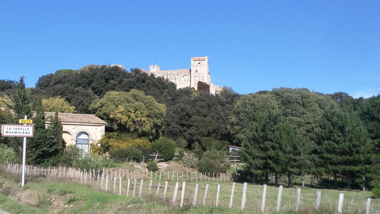 Photo of Others in La Capelle-et-Masmolene