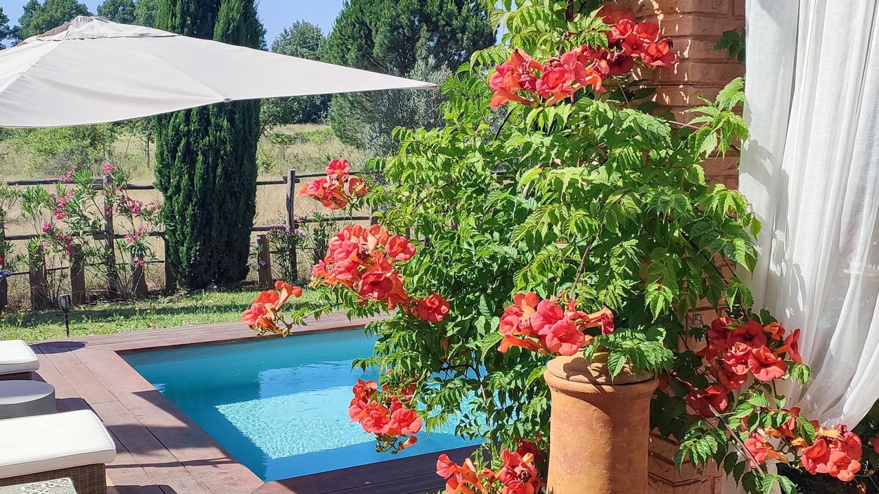 Photo of Outdoor in La Capelle-et-Masmolene