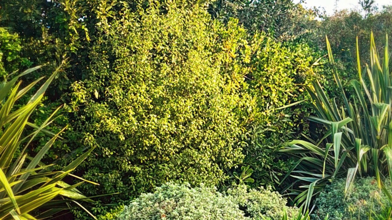 Photo of Outdoor in Pornichet