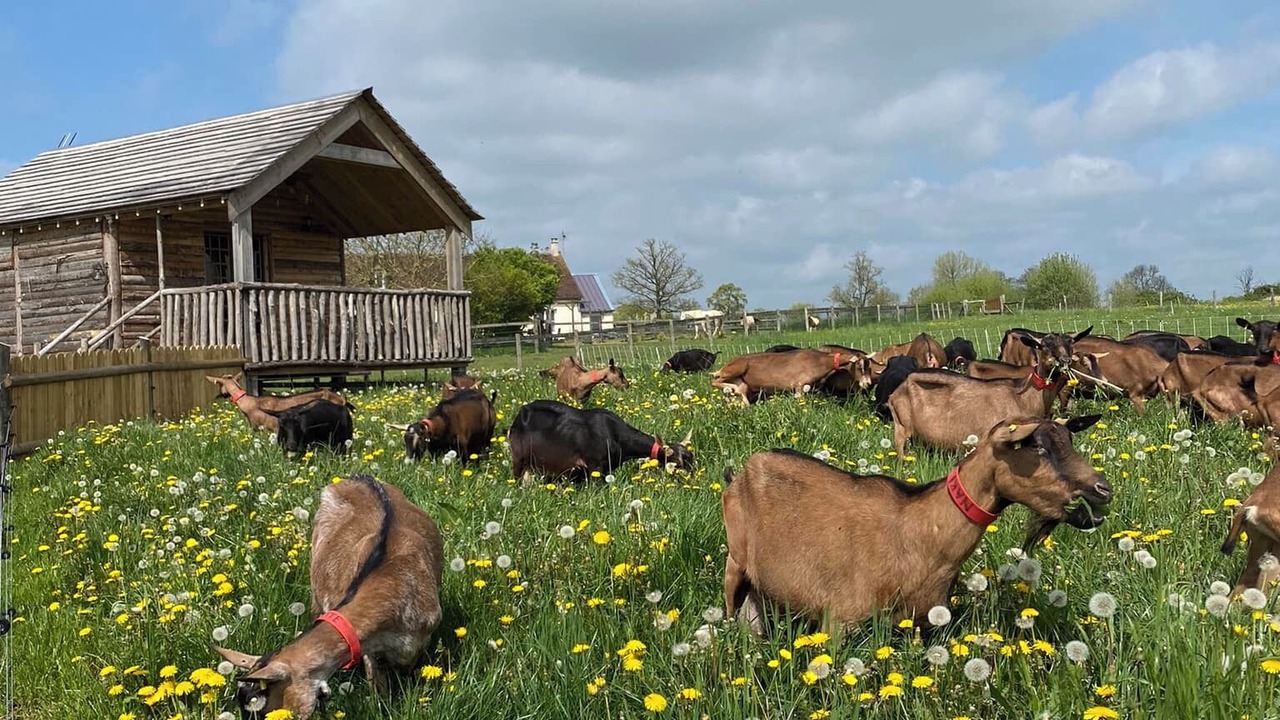 Photo of Others in Gapree