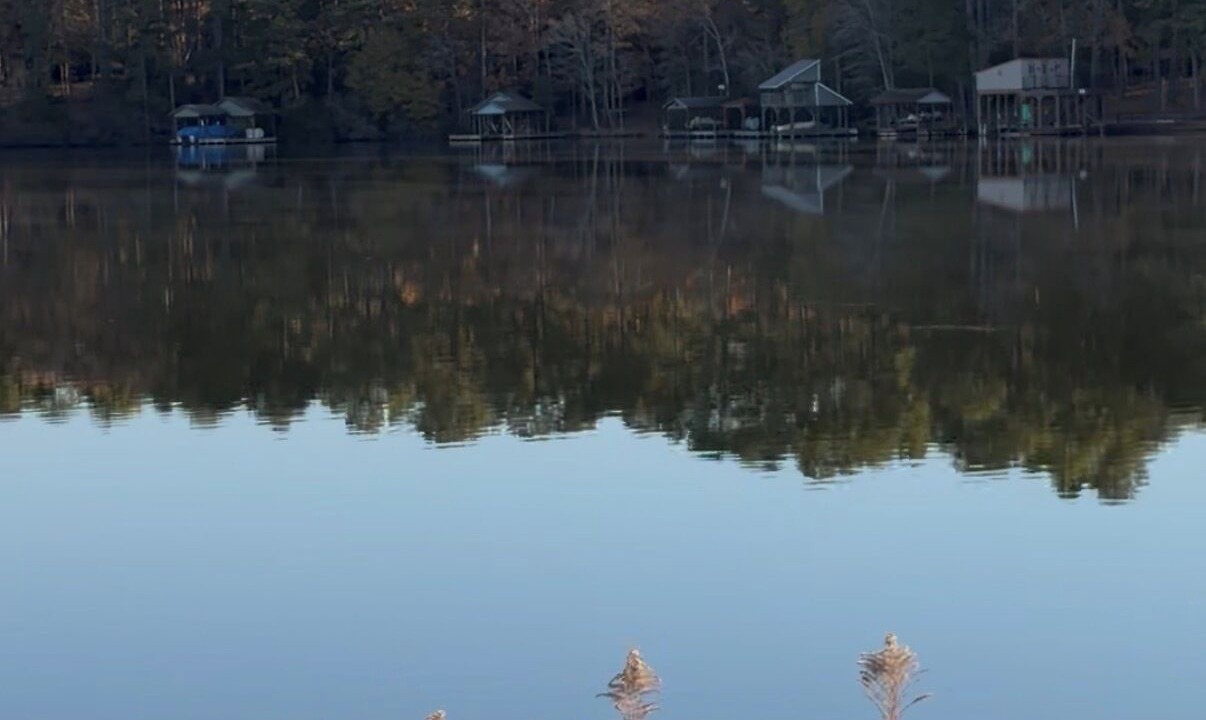 Photo of Others in Holly Lake Ranch