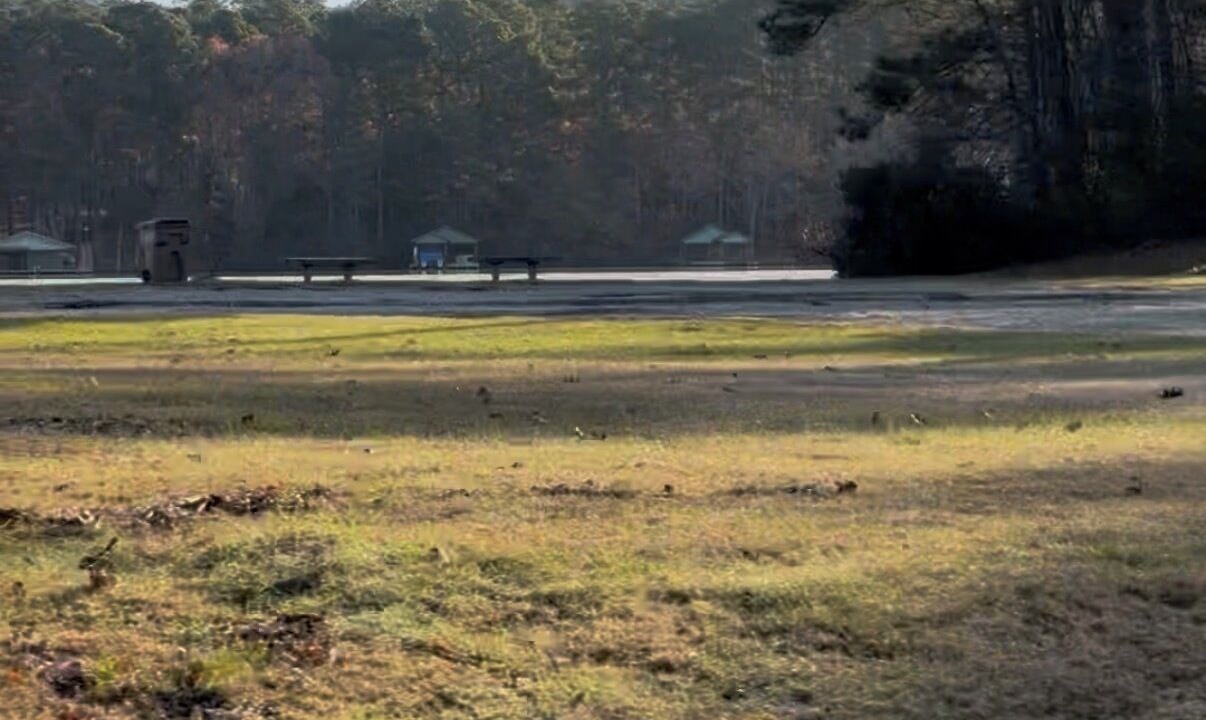 Photo of Others in Holly Lake Ranch
