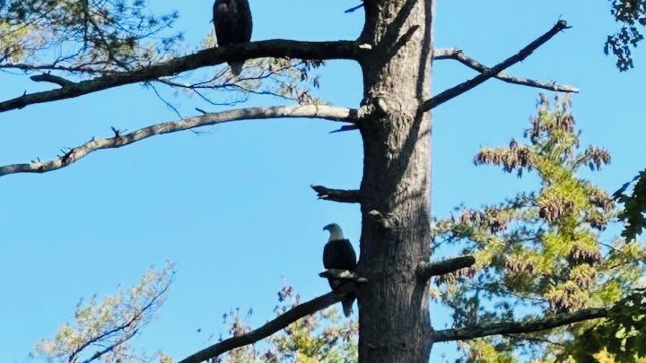 Photo of Others in Averill Park
