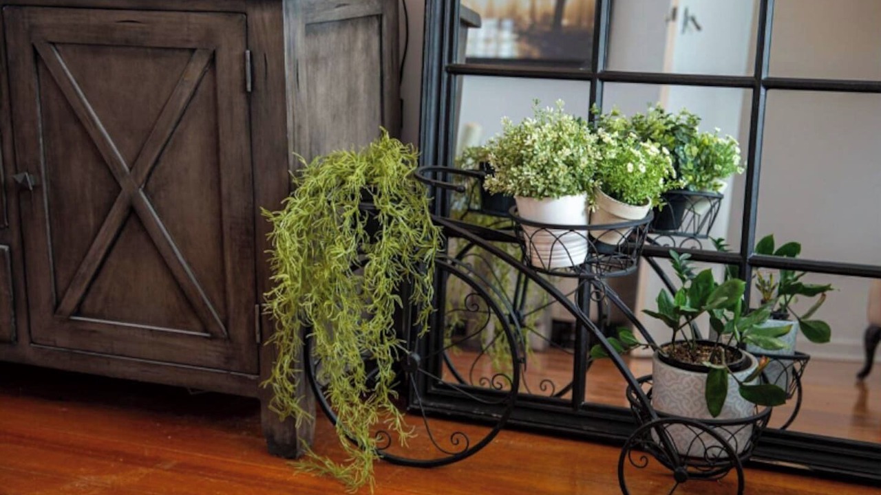 Photo of Others in Marino