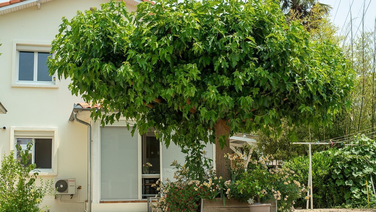 Photo of Outdoor in Aussonne