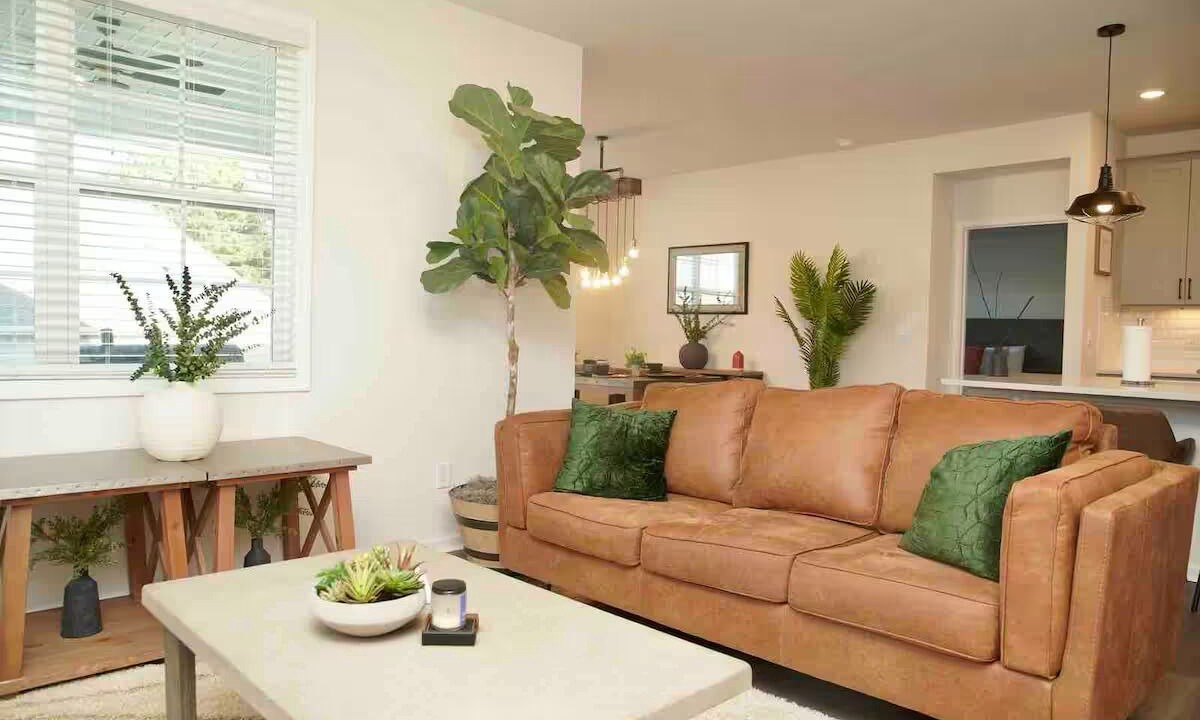 Photo of Livingroom in Swepsonville