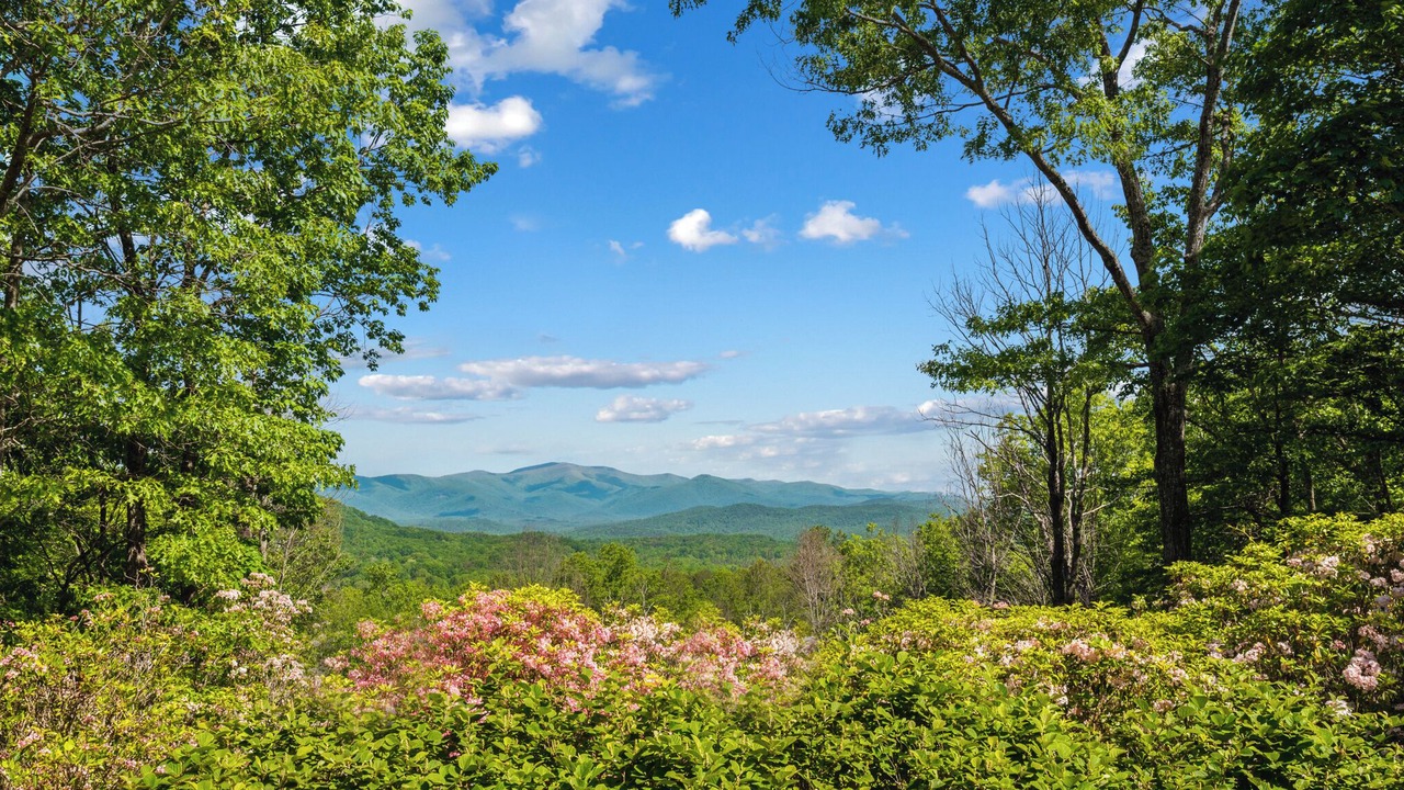 Photo of Others in Clarkesville