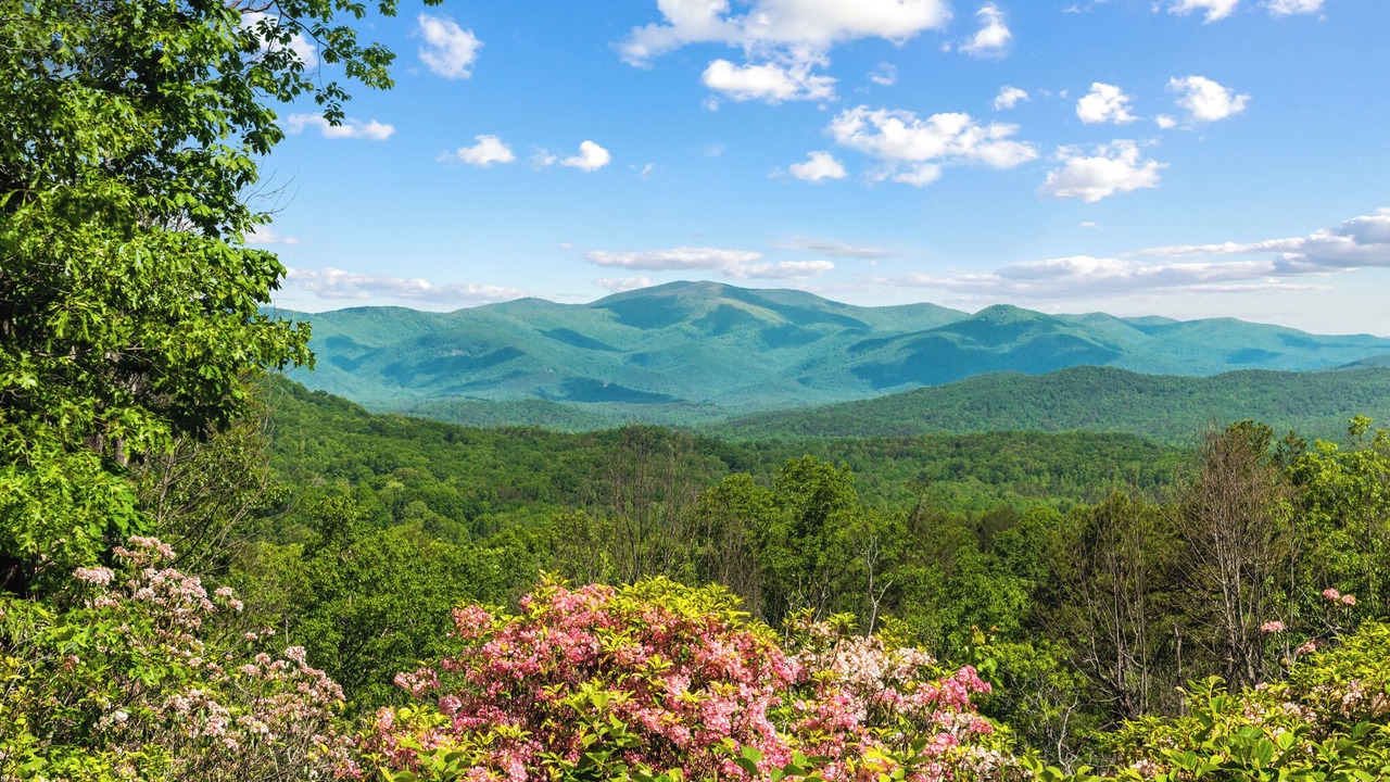 Photo of Others in Clarkesville