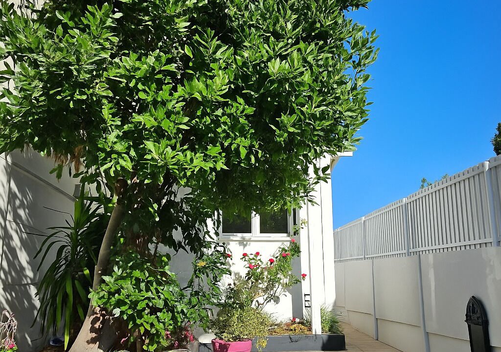 Photo of Outdoor in Champigny-sur-Marne