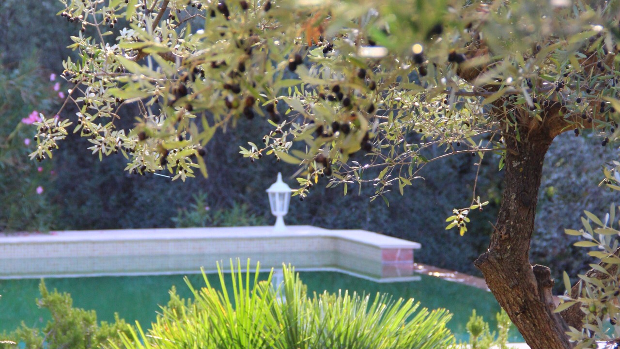 Photo of Outdoor in Callas