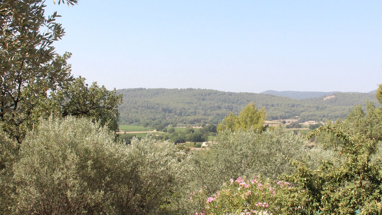 Photo of Others in Callas