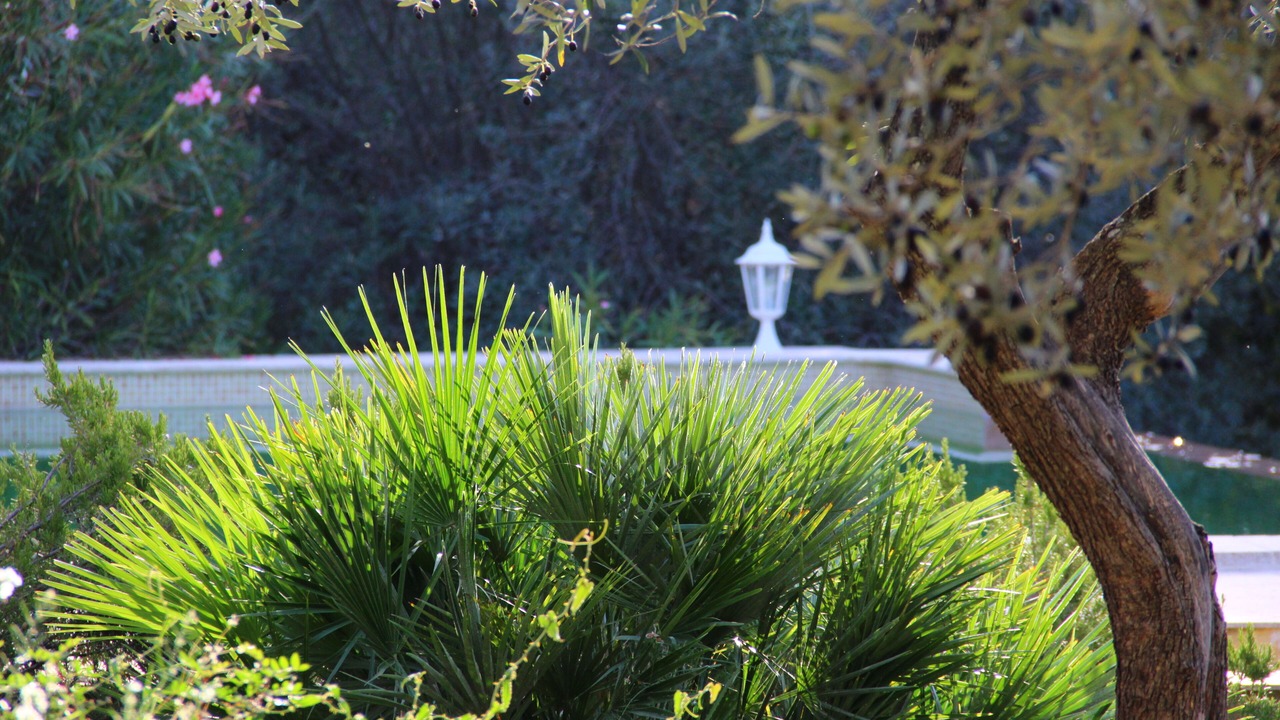 Photo of Outdoor in Callas