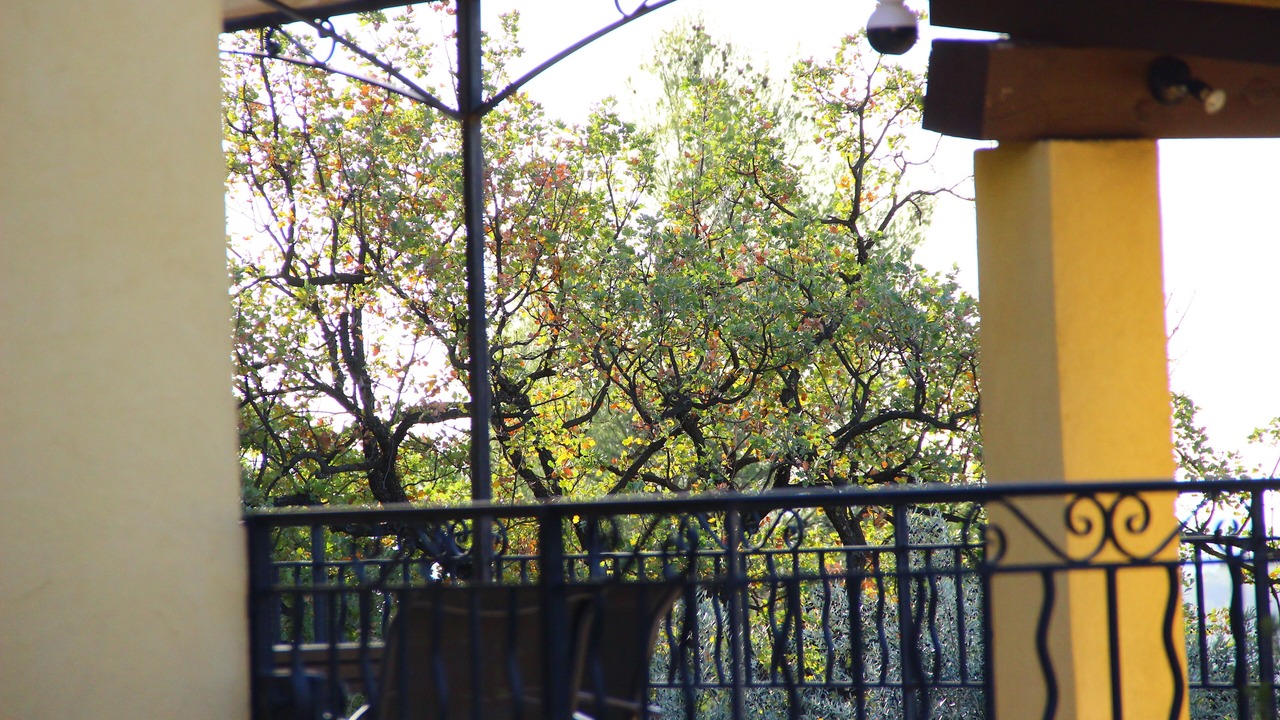 Photo of Patio Balcony in Callas