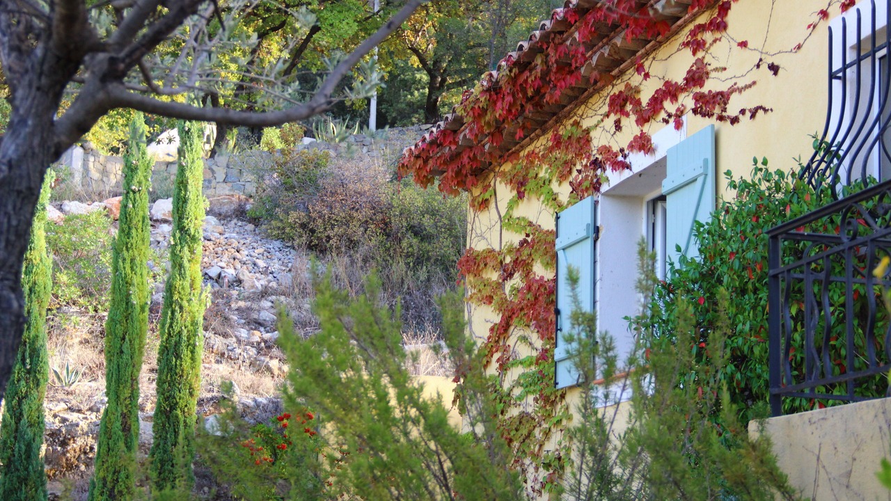 Photo of Outdoor in Callas