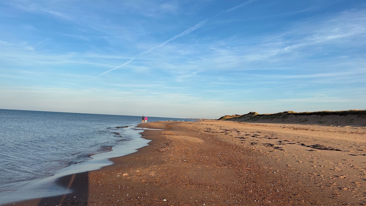 Photo of Others in West Covehead