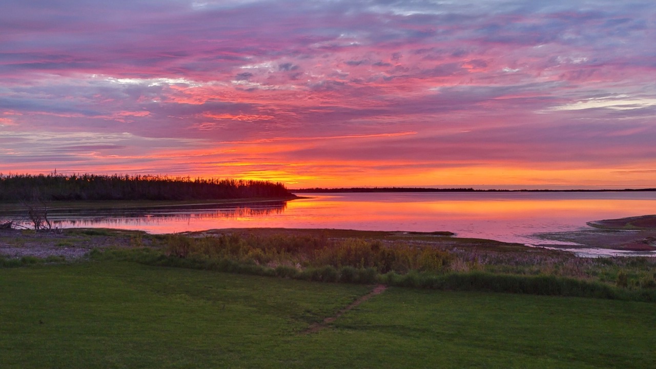 Photo of Others in West Covehead