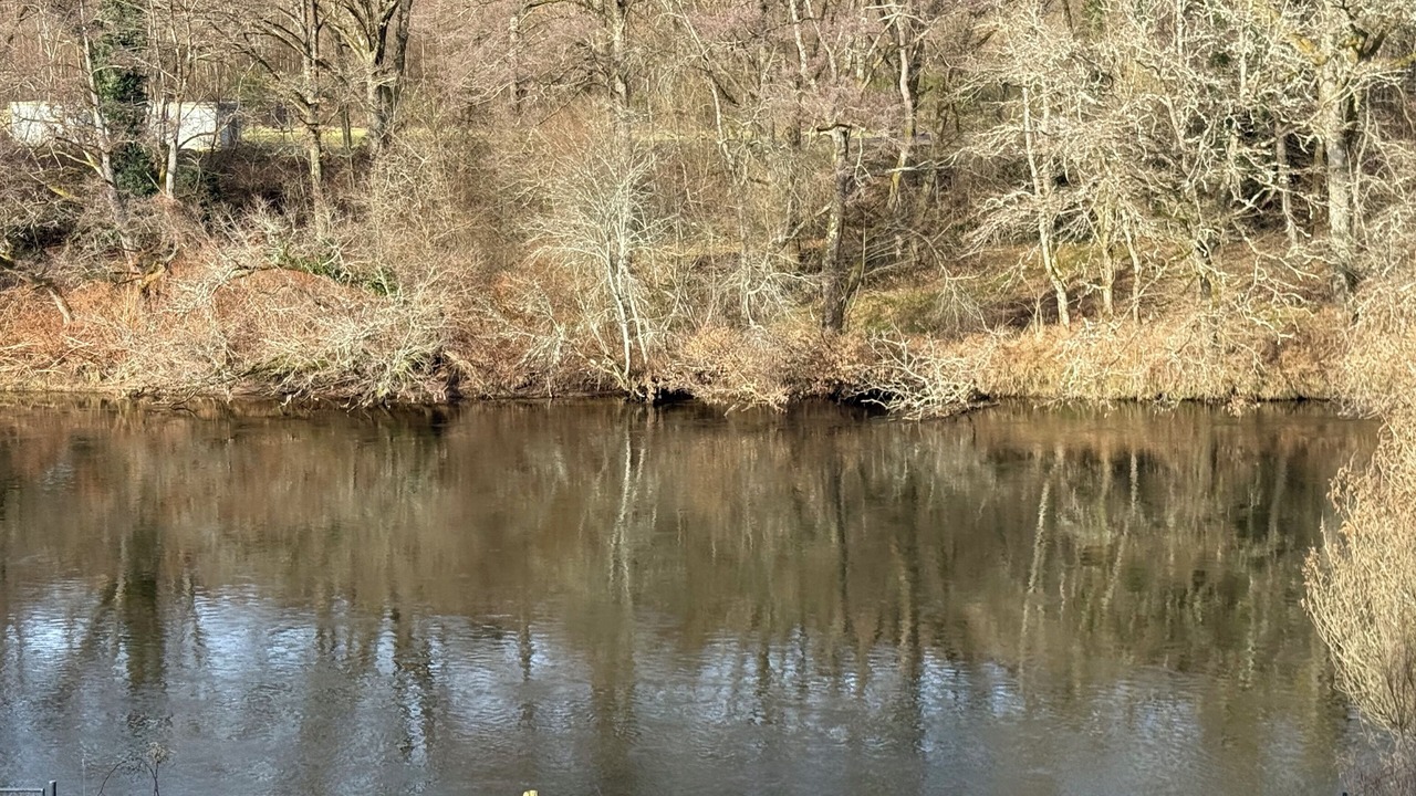 Photo of Others in Dinoze