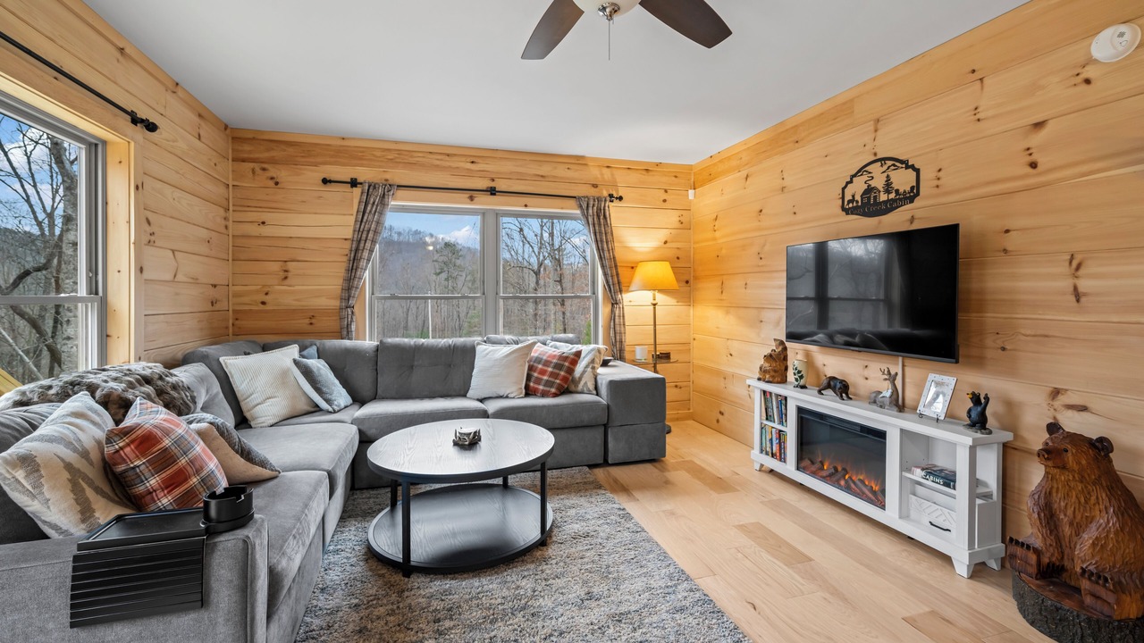 Photo of Livingroom in Lake Lure